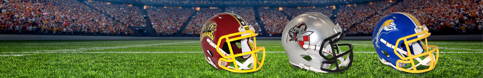 Awards & Recognition