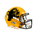 Matte Helmet Decals