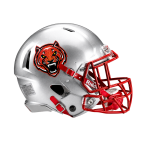 Metallic Flake Helmet Decals