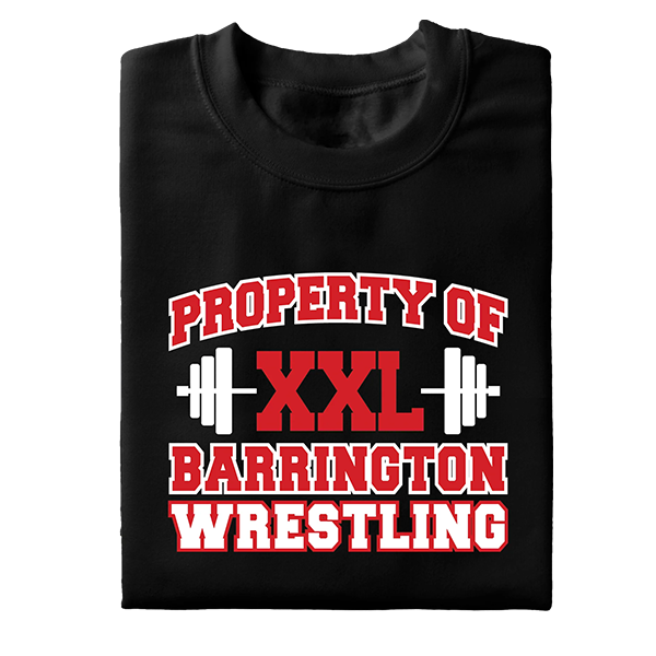 Wrestling Designs
