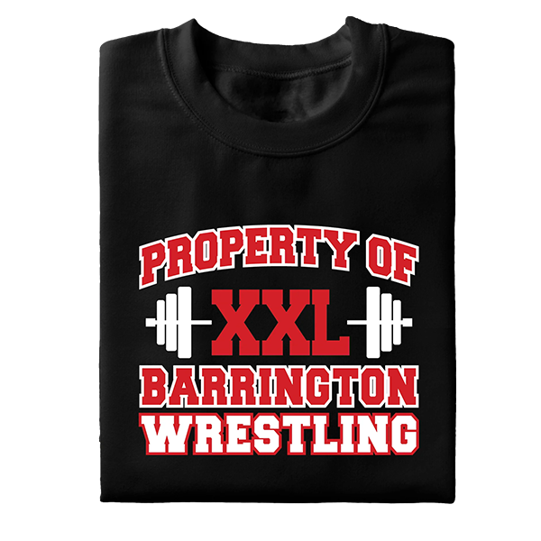 Wrestling Designs