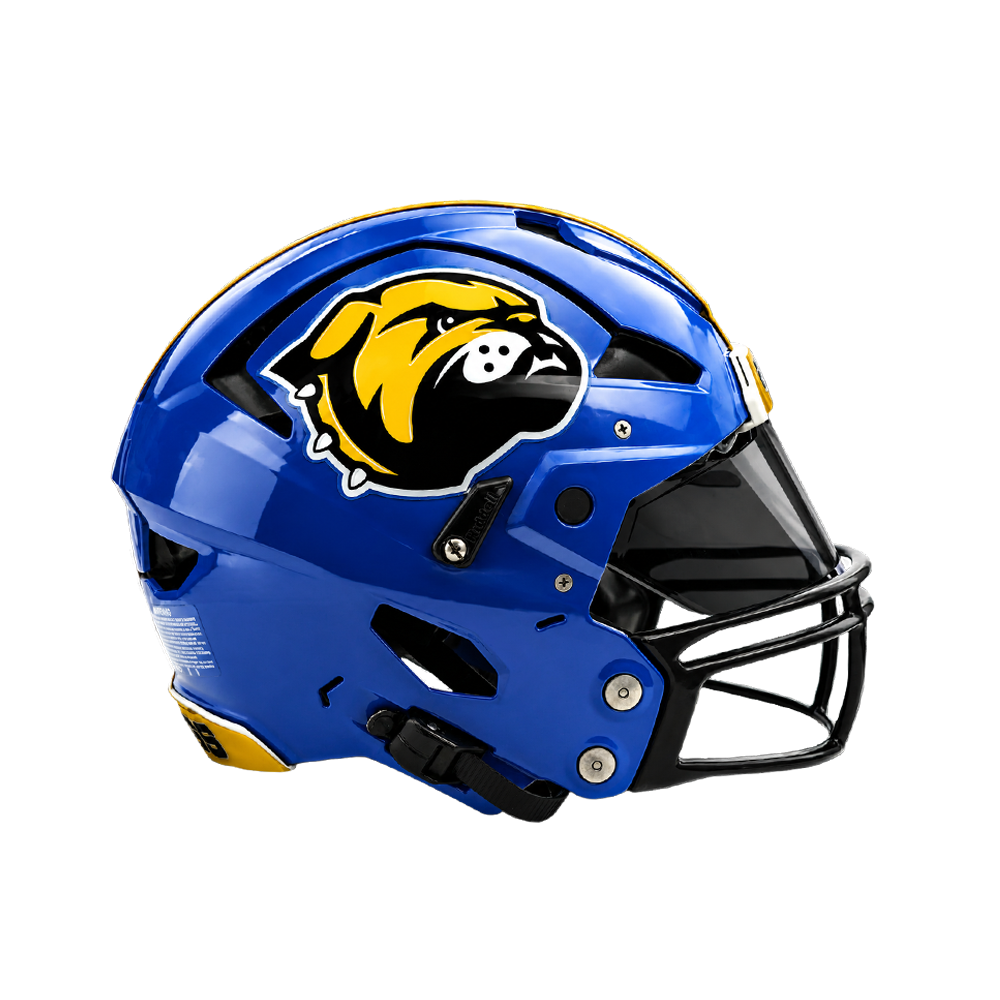 custom football helmet Chicago Bears GSH Schutt XP Authentic and can result in severe head or neck injuries It's been a big week