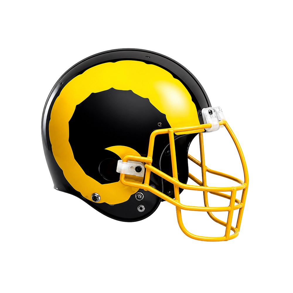 custom football helmet horns on front Minnesota Vikings Painted RK2 Style Suspension J WESTBROOKSPORTSCARDS Riddell Speed Mini Helmet and Mask with High Quality Decals Cut-to-Shape Helmet Decal Ram Horns