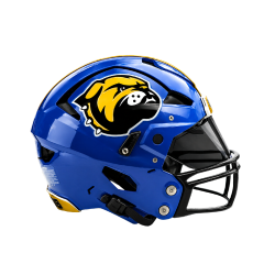 ear motorcycle helmet Adult Personalized Cat Helmet,Men and Women Cool Cat Locomotive Motorcycle Full Face Helmet,DOT/FMVSS-218 Certification Standard,Suitable for All Seasons : Automotive Trek Bicycle Waco, 1120 Size:33*14*24cm darth vader samurai Get your kitty on