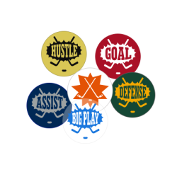 Hockey Award Decals