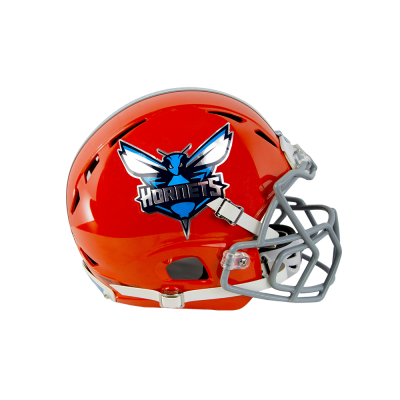 Chrome Helmet Decals