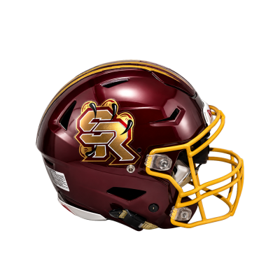 Chrome Helmet Decals