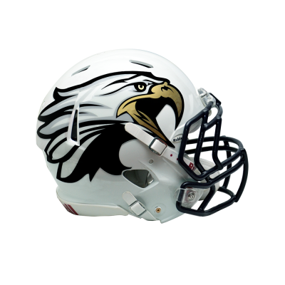 Chrome Extreme Oversized Helmet Decals