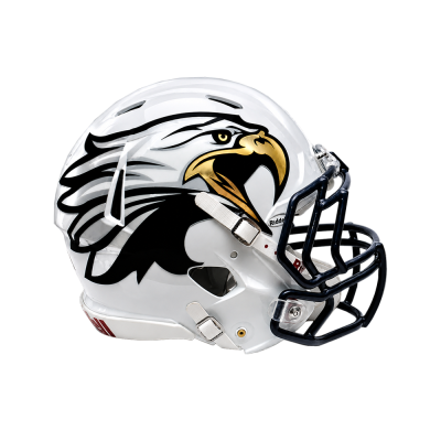 Chrome Extreme Oversized Helmet Decals
