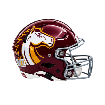 Classic Oversized Helmet Decals