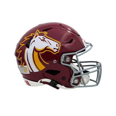 Classic Oversized Helmet Decals