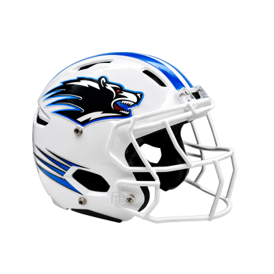 Classic Helmet Decals