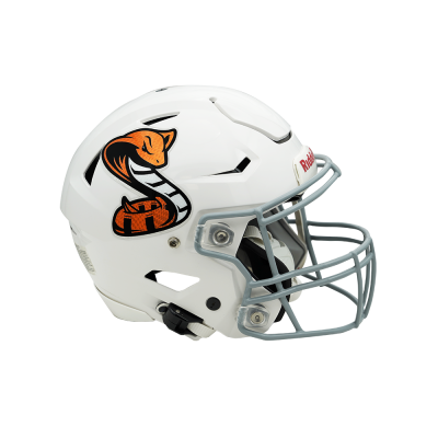 Holographic Oversized Helmet Decals