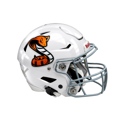 Holographic Oversized Helmet Decals