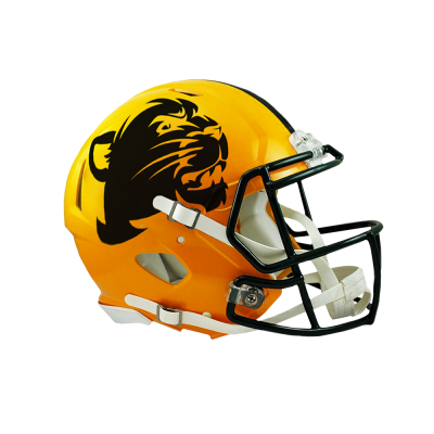 Matte Oversized Helmet Decals