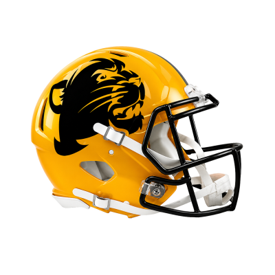 Matte Oversized Helmet Decals