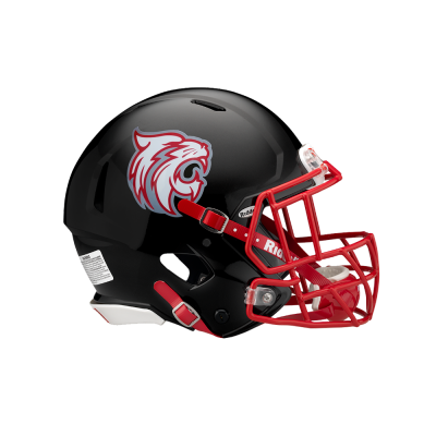 Matte Helmet Decals