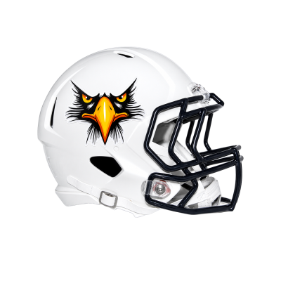 Metallic Flake Helmet Decals