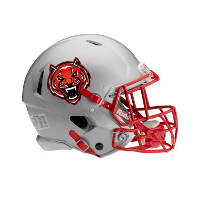 Metallic Flake Helmet Decals