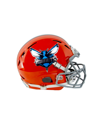 Chrome Helmet Decals