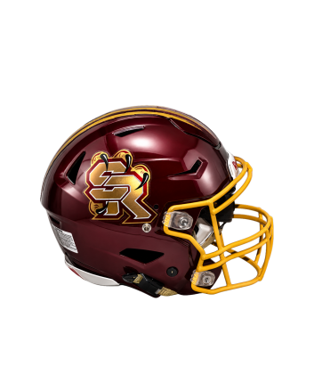 Chrome Helmet Decals