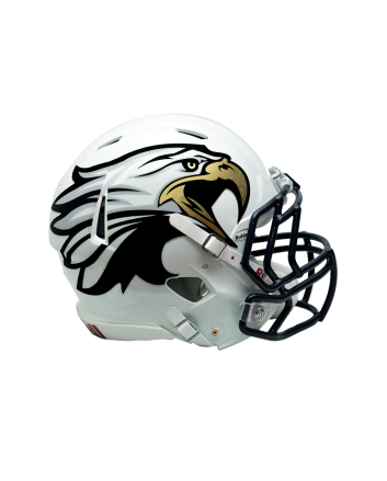 Chrome Extreme Oversized Helmet Decals