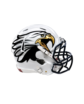 Chrome Extreme Oversized Helmet Decals