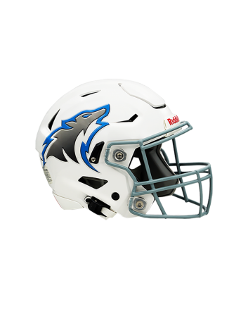 Classic Helmet Decals