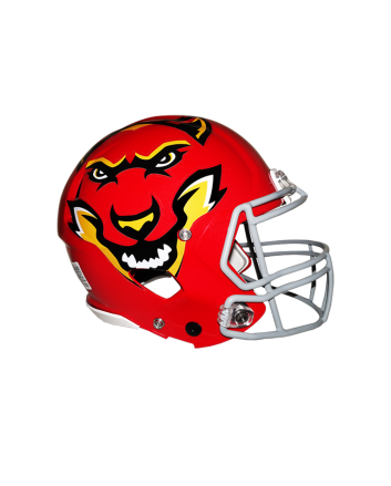 Classic Extreme Oversized Helmet Decals