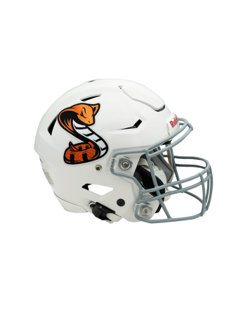 Holographic Oversized Helmet Decals
