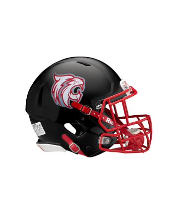 Matte Helmet Decals