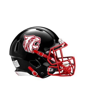 Matte Helmet Decals