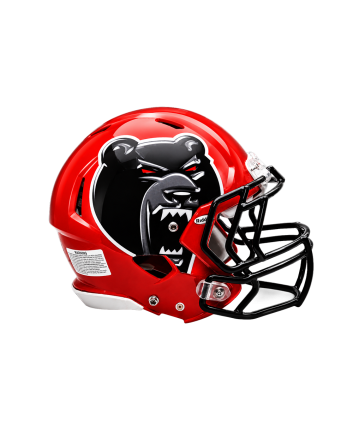 Matte Extreme Oversized Helmet Decals