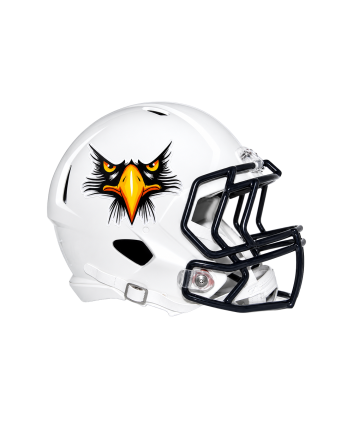 Metallic Flake Helmet Decals