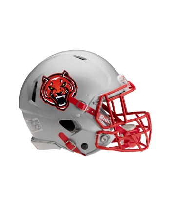 Metallic Flake Helmet Decals