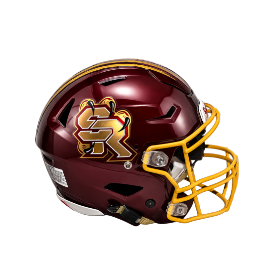 Chrome Helmet Decals
