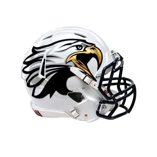 Chrome Extreme Oversized Helmet Decals