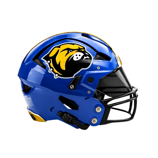 engineering football helmets VENGEANCE PRO LTD II HELMET Trek 920 Disc Touring Colors:FT NT/ORG natural leather bag