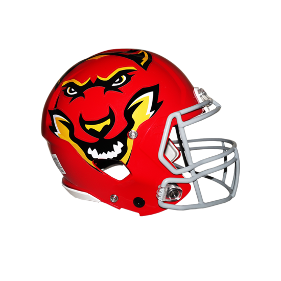 Classic Extreme Oversized Helmet Decals