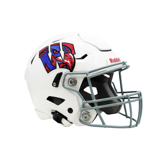 Holographic Helmet Decals