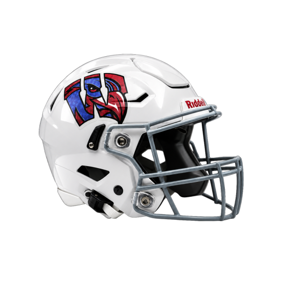custom digital football helmet image 3D Printed Decorative Collectible We Creat It Why buy individually Speedflex Custom Helmet - Matte