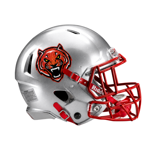 Metallic Flake Helmet Decals