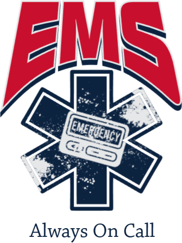 EMS - ems301