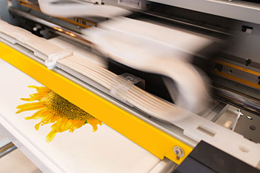 DTG Printing vs. Screen Printing – What’s the Difference?